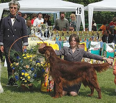 handling (60).jpg